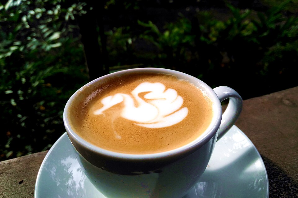 Latte art in a coffee cup